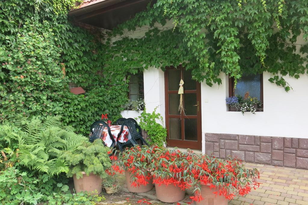 La Ferme De Sissi Smrzice Quarto foto