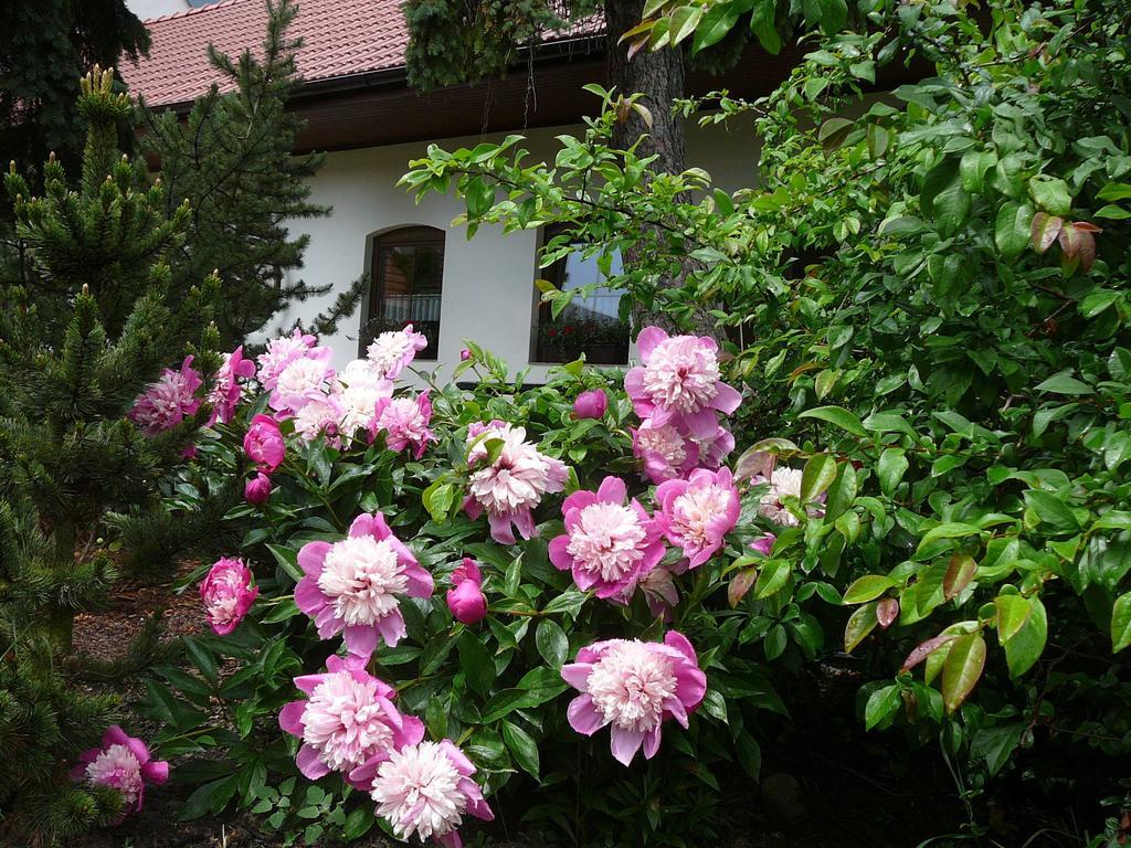 La Ferme De Sissi Smrzice Exterior foto